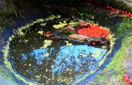 長(zhǎng)沙市譚力礦產(chǎn)品有限公司,長(zhǎng)沙礦產(chǎn)品銷(xiāo)售,工藝品銷(xiāo)售,鉆石飾品批發(fā) 長(zhǎng)沙市譚力礦產(chǎn)品有限公司,長(zhǎng)沙礦產(chǎn)品銷(xiāo)售,工藝品銷(xiāo)售,鉆石飾品批發(fā)